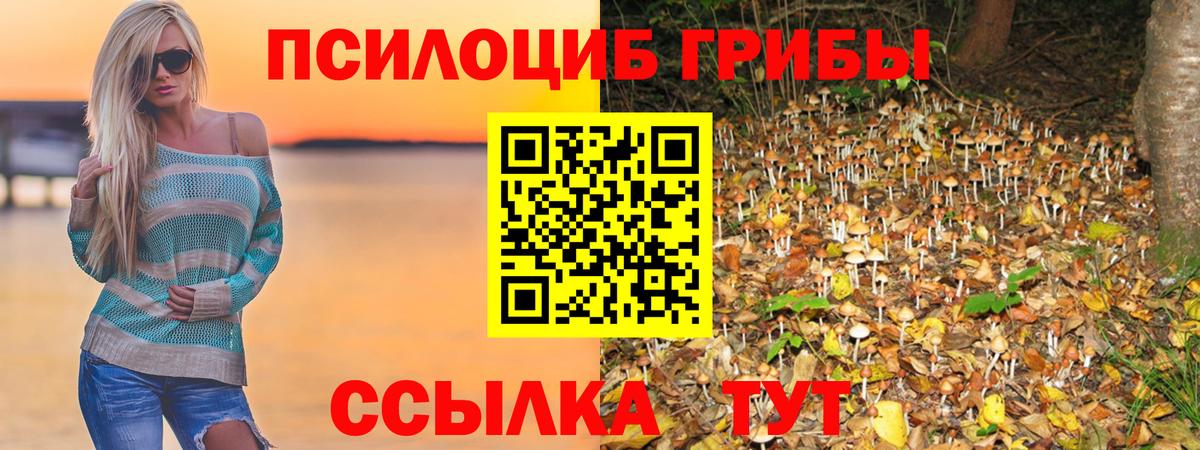 Псилоцибиновые грибы Psilocybine cubensis  Вход с VPN  Свободный 