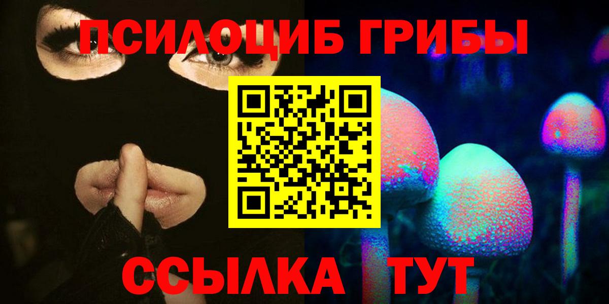 Галлюциногенные грибы Cubensis Свободный
